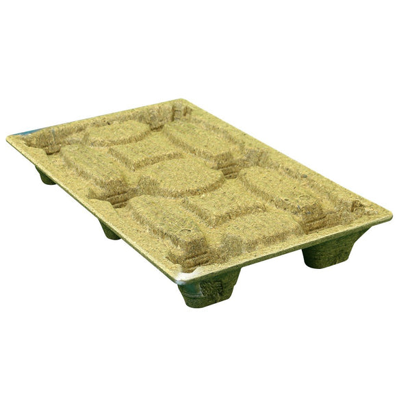 24 x 40 Molded Wood Pallet - Litco Inca IE132440 OWS PW-S-2440-NM Repose Top